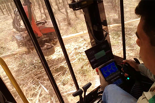 Vista da cabine de harvester sobre esteira em operação de derrubada